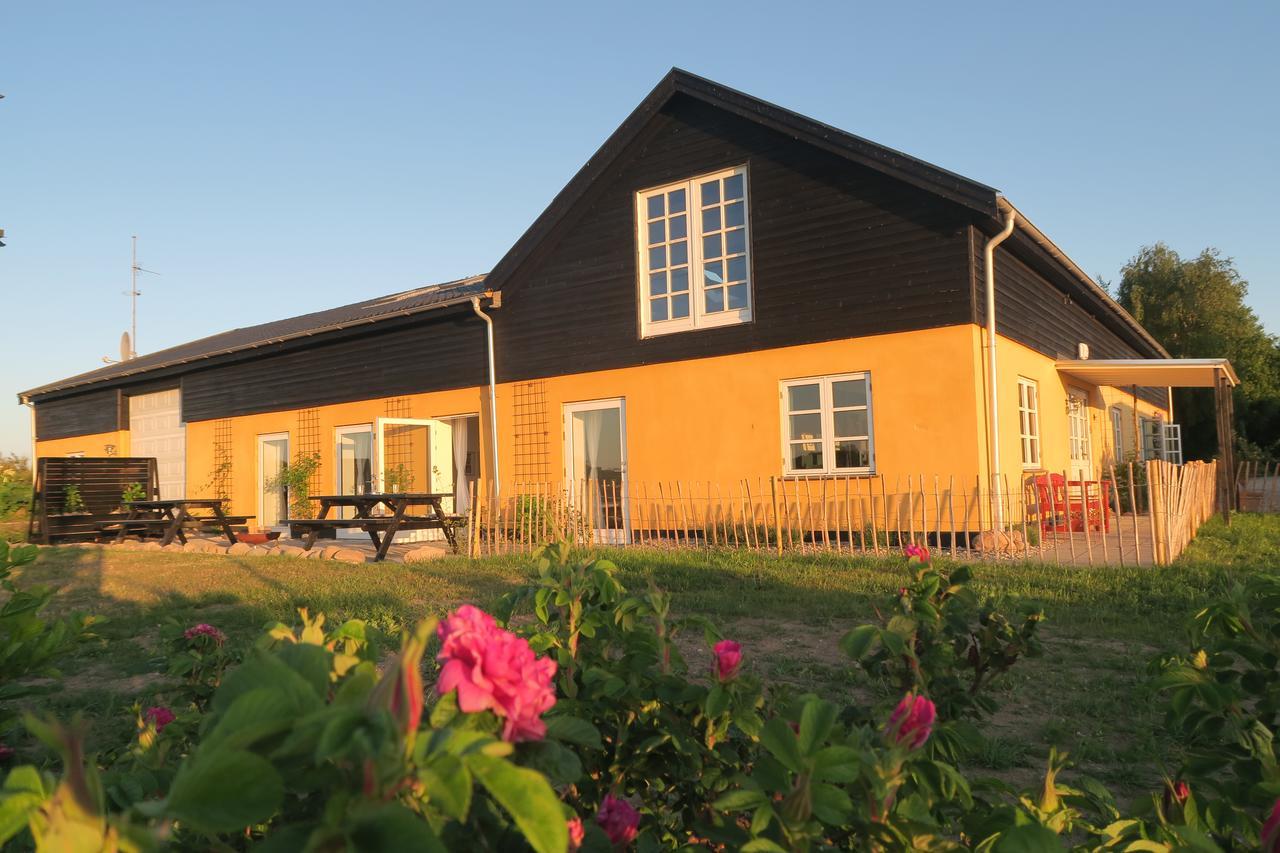 Bed & Breakfast Du Nord Vejby Exterior photo